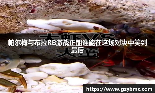 帕尔梅与布拉RB激战正酣谁能在这场对决中笑到最后