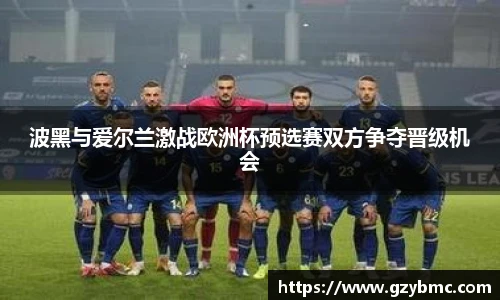 波黑与爱尔兰激战欧洲杯预选赛双方争夺晋级机会