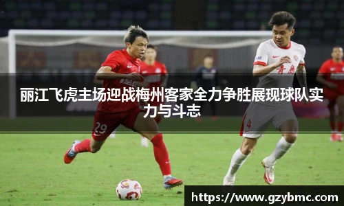 丽江飞虎主场迎战梅州客家全力争胜展现球队实力与斗志
